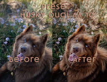 Load image into Gallery viewer, Almost Autumn ~ Husky Quoi Lightroom Preset Pack (Desktop)