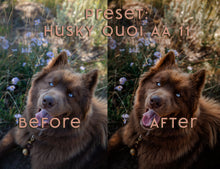 Load image into Gallery viewer, Almost Autumn ~ Husky Quoi Lightroom Preset Pack (Desktop)