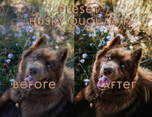 Load image into Gallery viewer, Almost Autumn ~ Husky Quoi Lightroom Preset Pack (Desktop)