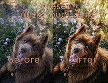 Load image into Gallery viewer, Almost Autumn ~ Husky Quoi Lightroom Preset Pack (Desktop)