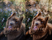 Load image into Gallery viewer, Almost Autumn ~ Husky Quoi Lightroom Preset Pack (Desktop)