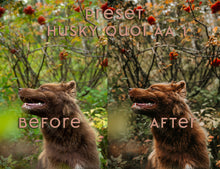 Load image into Gallery viewer, Almost Autumn ~ Husky Quoi Lightroom Preset Pack (Desktop)