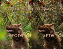 Load image into Gallery viewer, Almost Autumn ~ Husky Quoi Lightroom Preset Pack (Desktop)