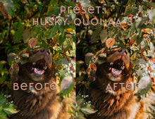 Load image into Gallery viewer, Almost Autumn ~ Husky Quoi Lightroom Preset Pack (Desktop)