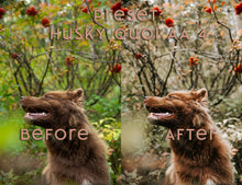 Load image into Gallery viewer, Almost Autumn ~ Husky Quoi Lightroom Preset Pack (Desktop)