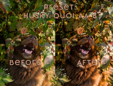 Load image into Gallery viewer, Almost Autumn ~ Husky Quoi Lightroom Preset Pack (Desktop)
