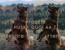 Load image into Gallery viewer, Almost Autumn ~ Husky Quoi Lightroom Preset Pack (Desktop)
