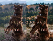 Load image into Gallery viewer, Almost Autumn ~ Husky Quoi Lightroom Preset Pack (Desktop)