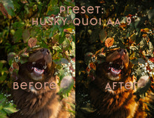 Load image into Gallery viewer, Almost Autumn ~ Husky Quoi Lightroom Preset Pack (Desktop)