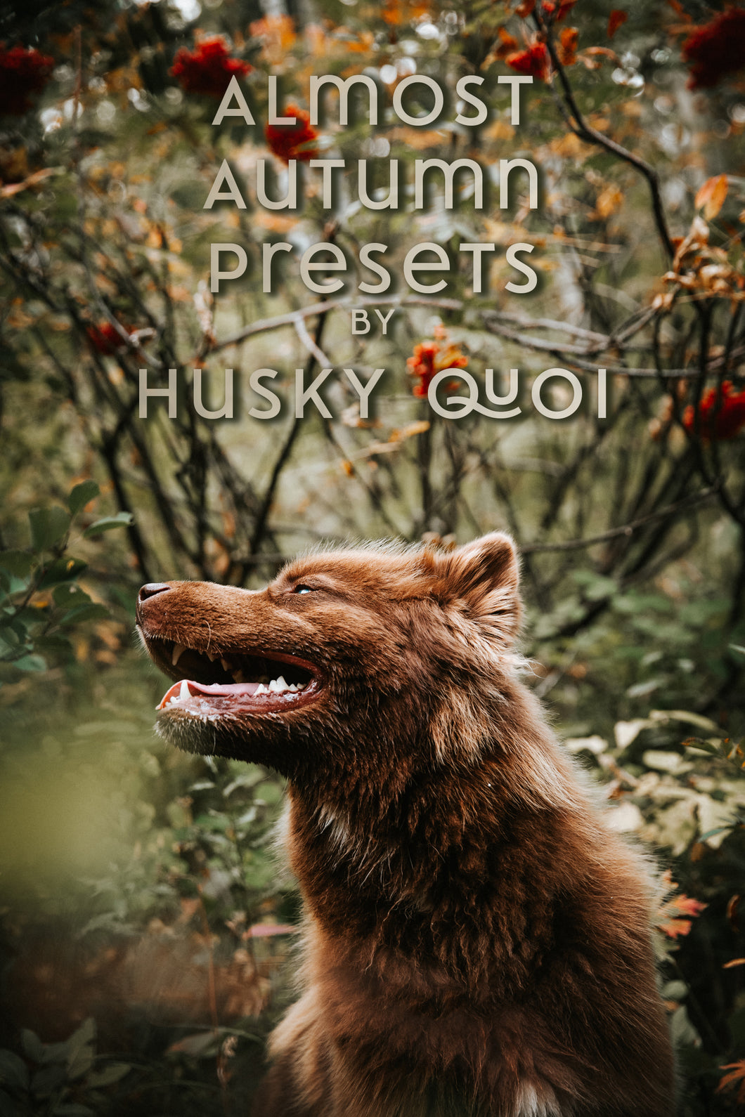 Almost Autumn ~ Husky Quoi Lightroom Preset Pack (Desktop)