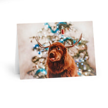 Load image into Gallery viewer, Husky Holiday Greeting Cards (5 pcs)