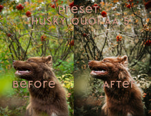 Load image into Gallery viewer, Almost Autumn ~ Husky Quoi Lightroom Preset Pack (Desktop)