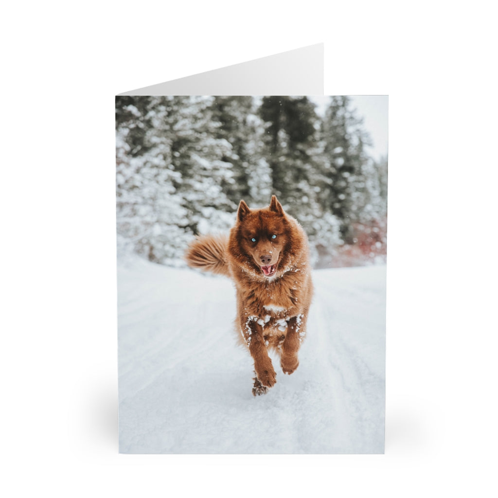 Happy Husky Greeting Cards (5 pcs)