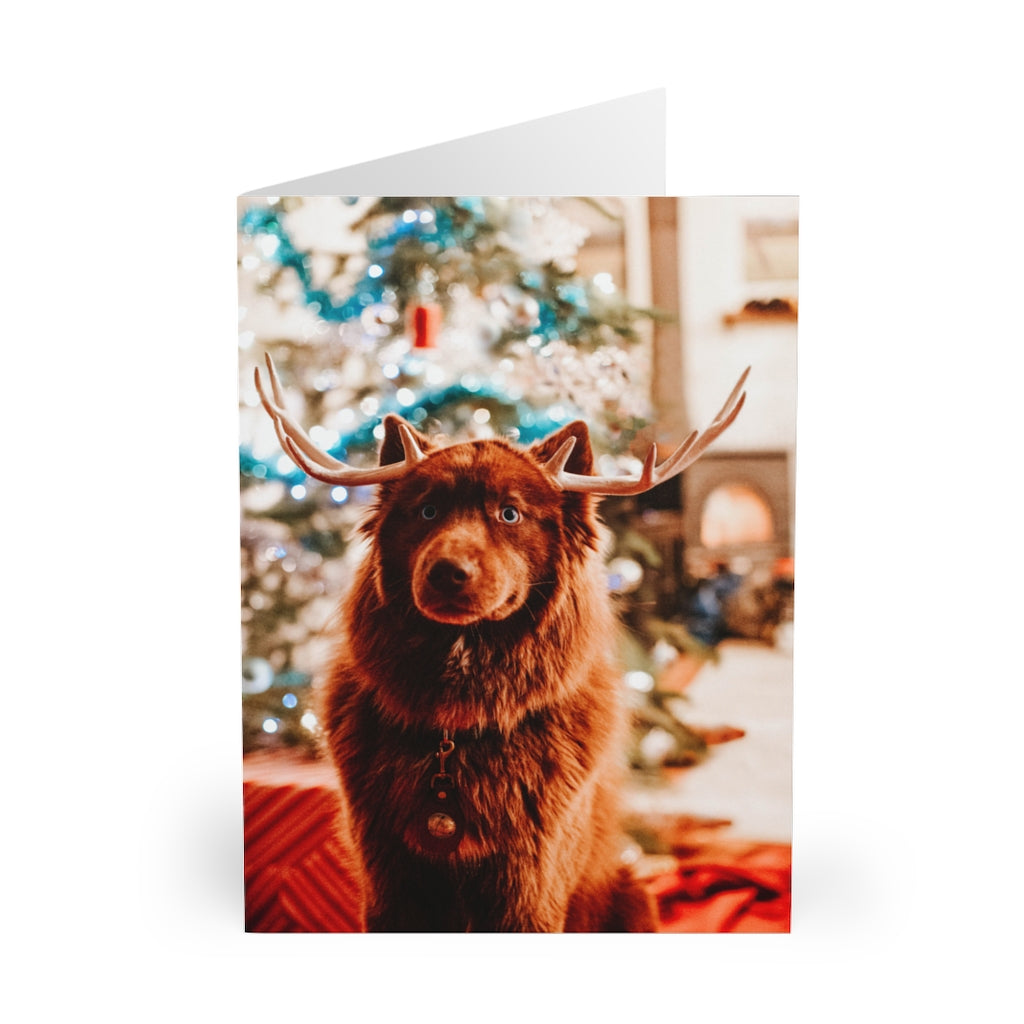 Reindeer Dog Holiday Cards (5 pcs)