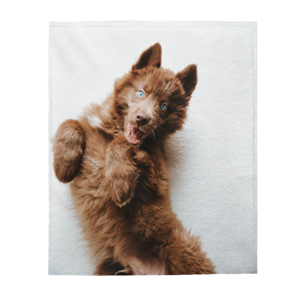 Puppy Quoi Cuddle Blanket: Velveteen Plush Blanket